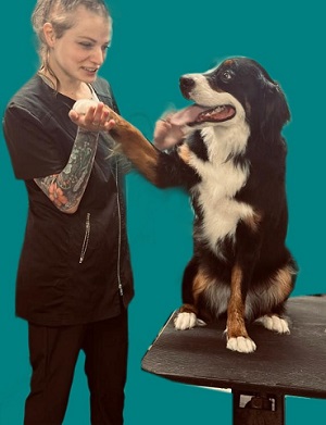 Kelsey